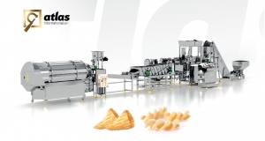 Types of pellet chips frying lines